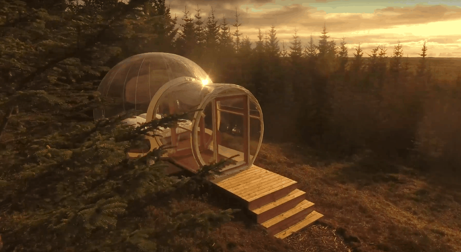 A bubble in the forest in Iceland