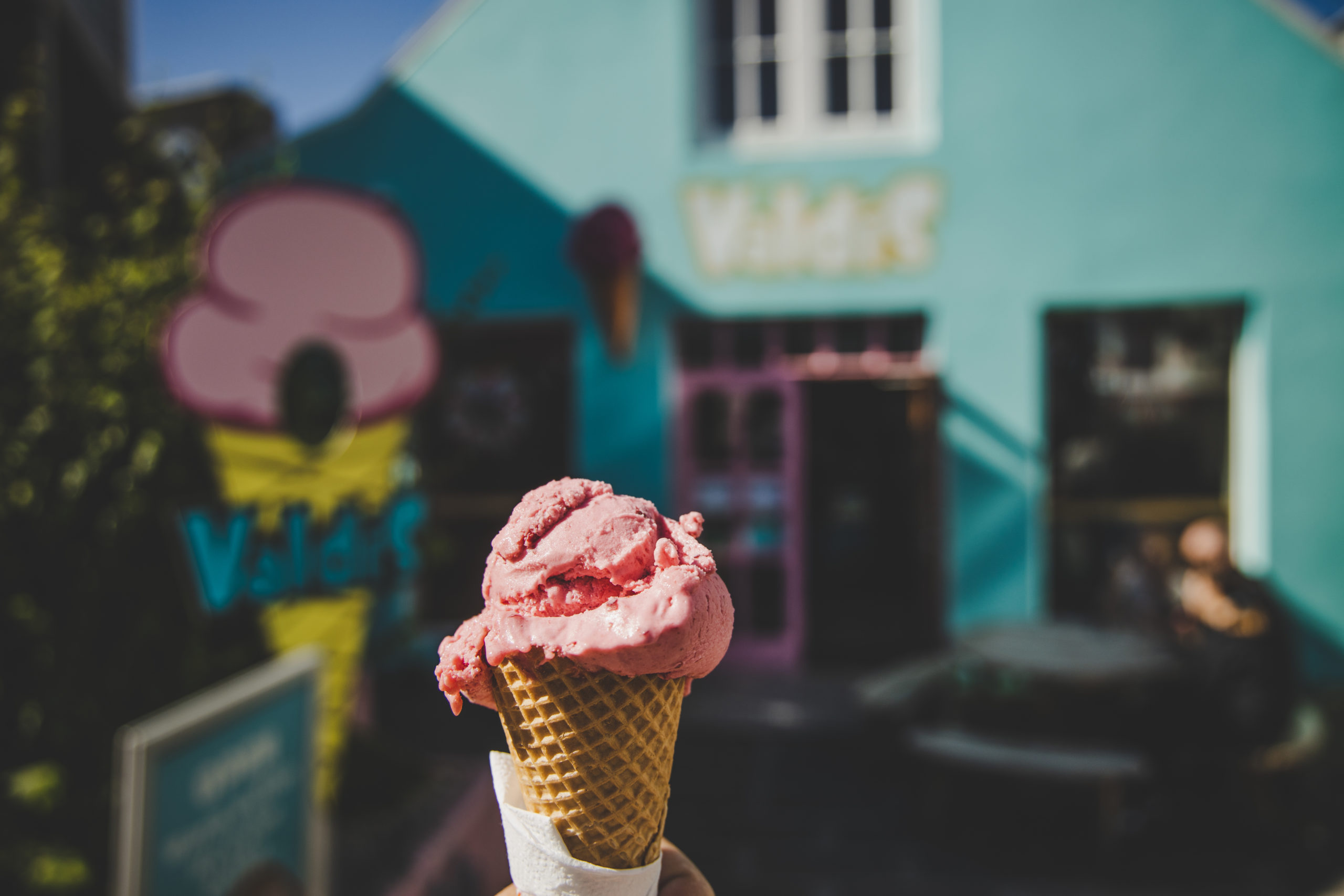 Reykjavik Ice Cream