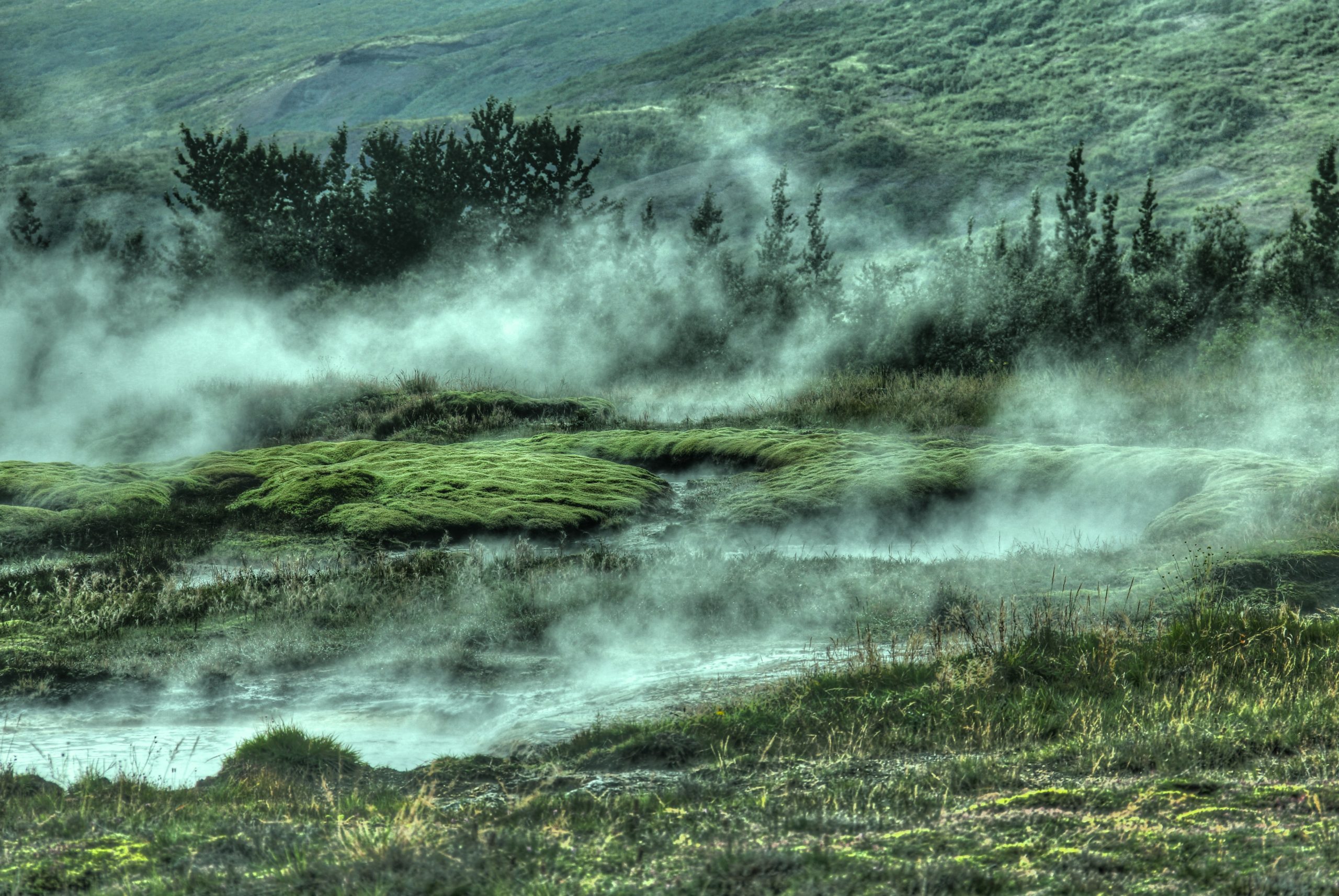 Geothermal steam billowing into the air in Iceland.
