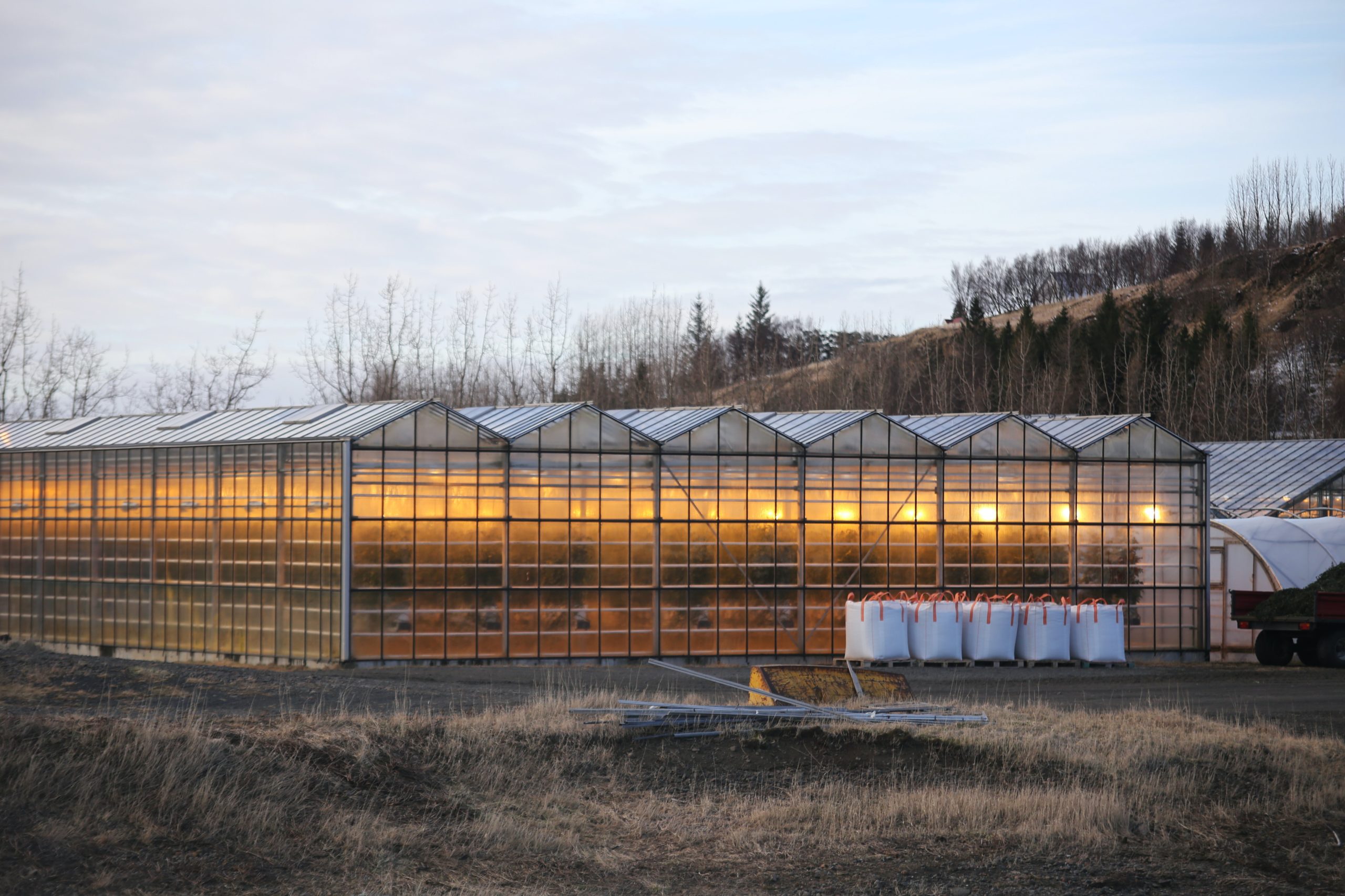 Greenhouses in Iceland