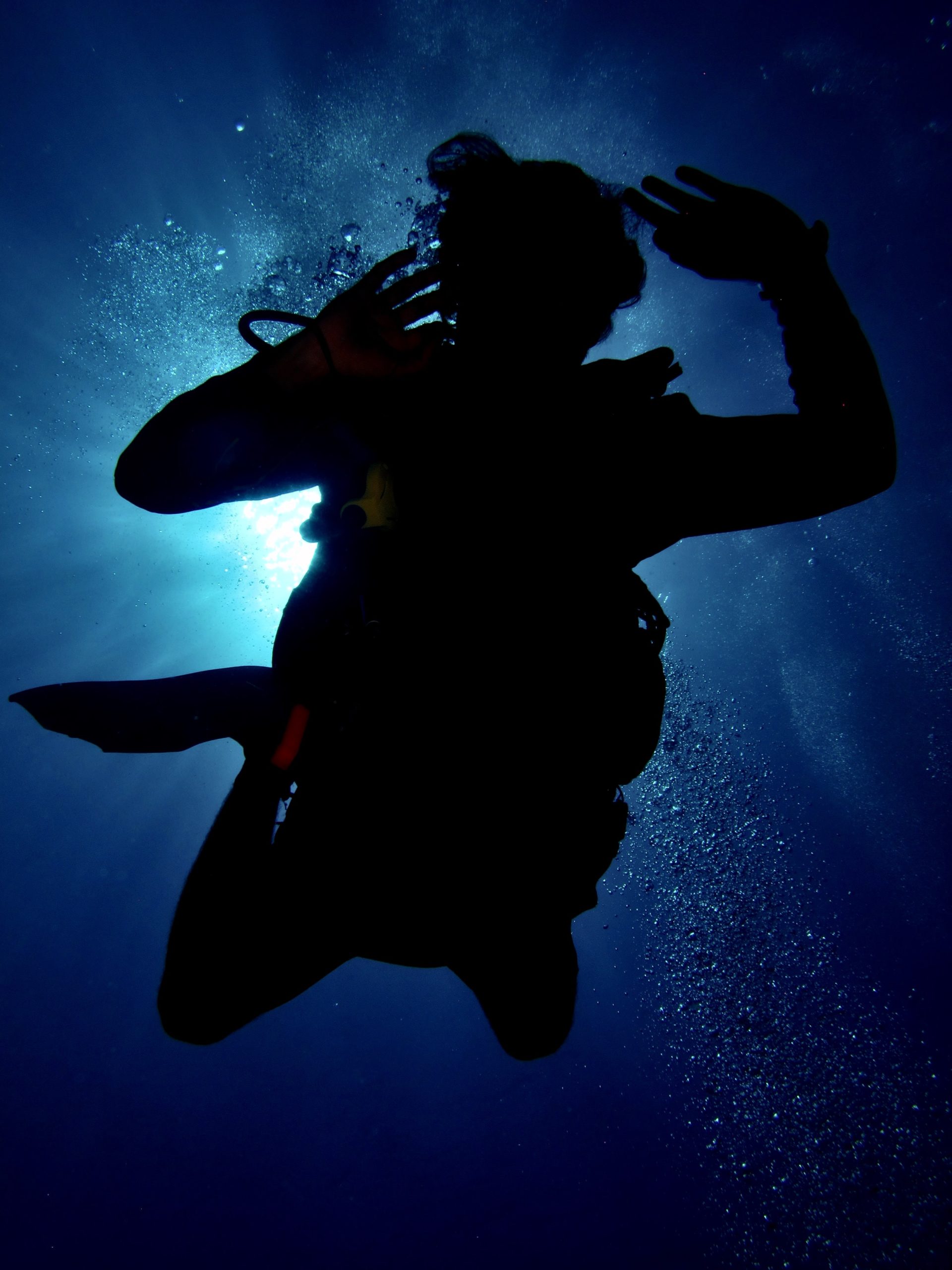 A scuba diver underwater