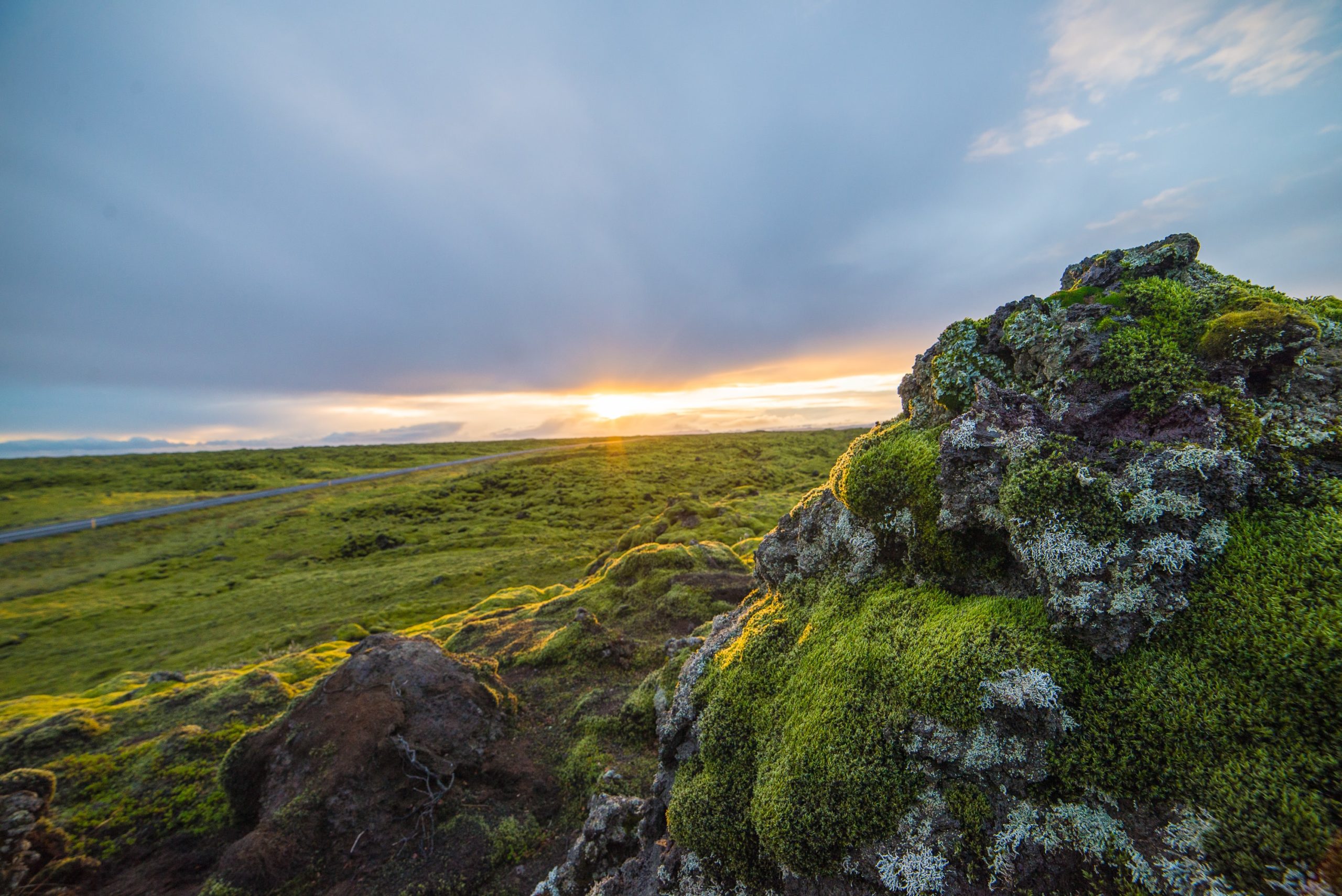 Sunset over Icelandic moss