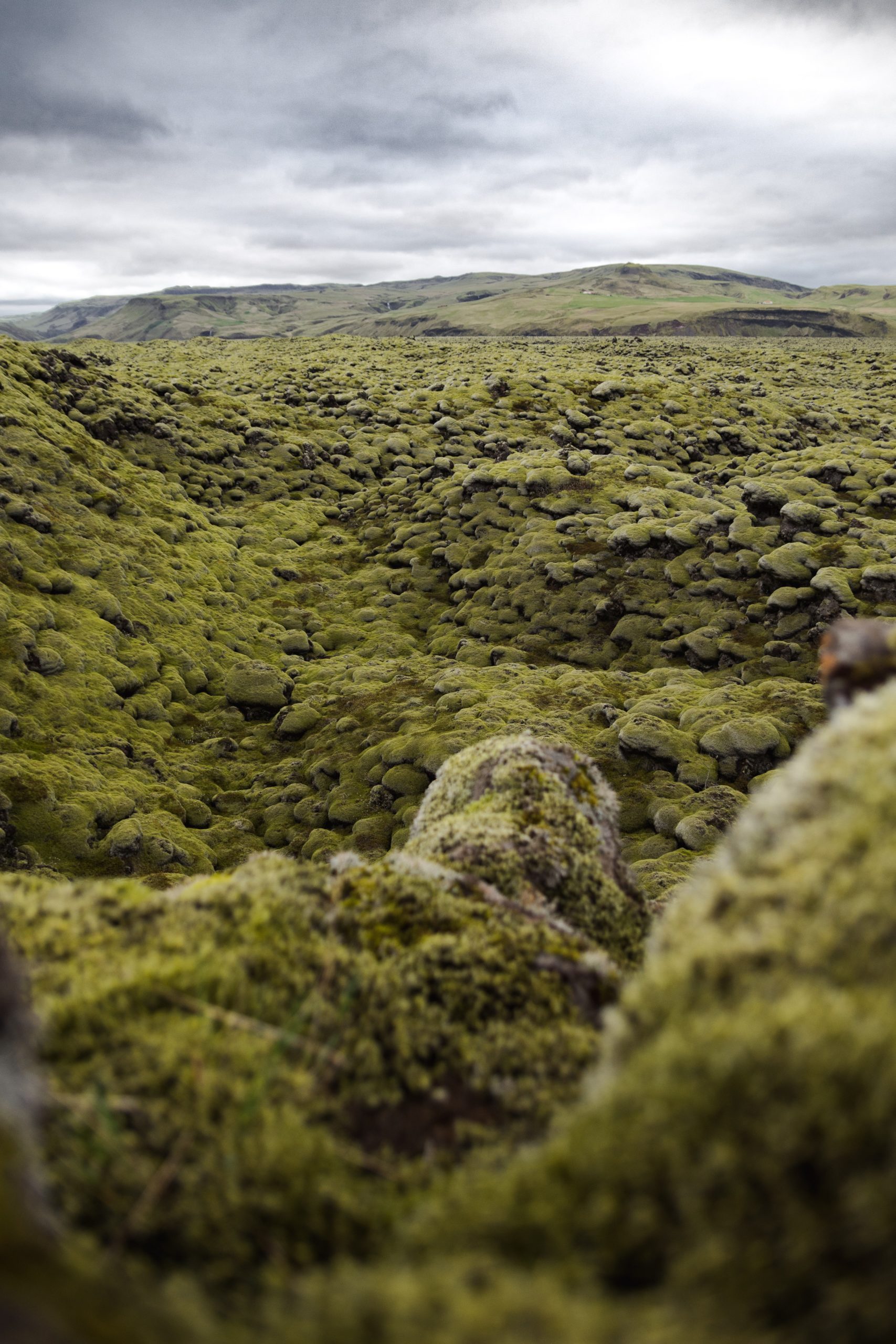 A portrait shot of an Icelandic landscape