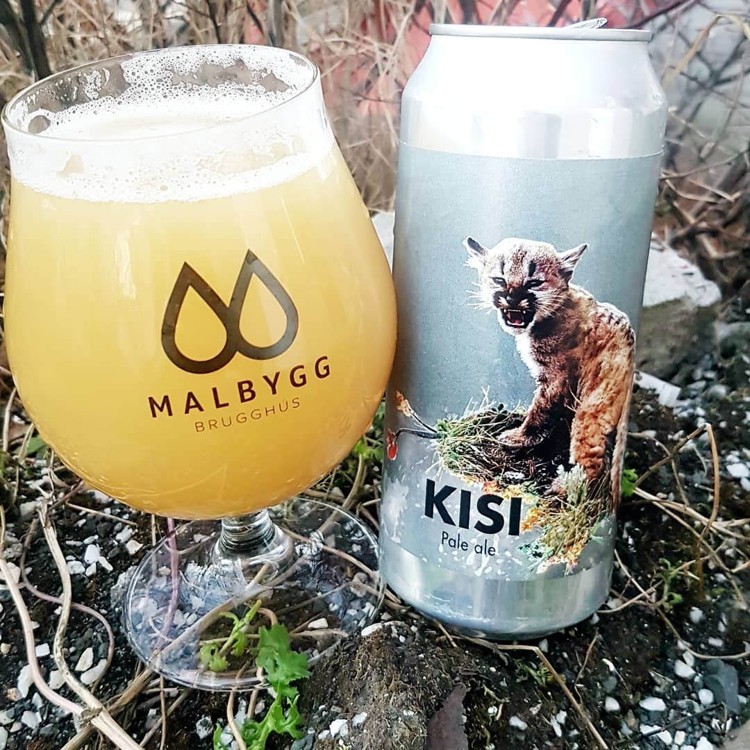 A glass and can of the beer KISI by MALBYGG outside on the grass.