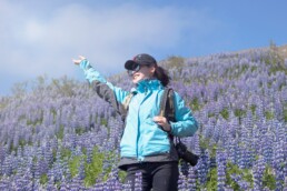 hiking in may in Iceland